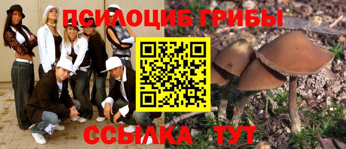Галлюциногенные грибы MAGIC MUSHROOMS Еманжелинск