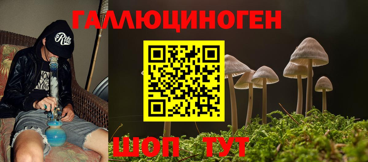 Псилоцибиновые грибы MAGIC MUSHROOMS  Вход с VPN  Еманжелинск 